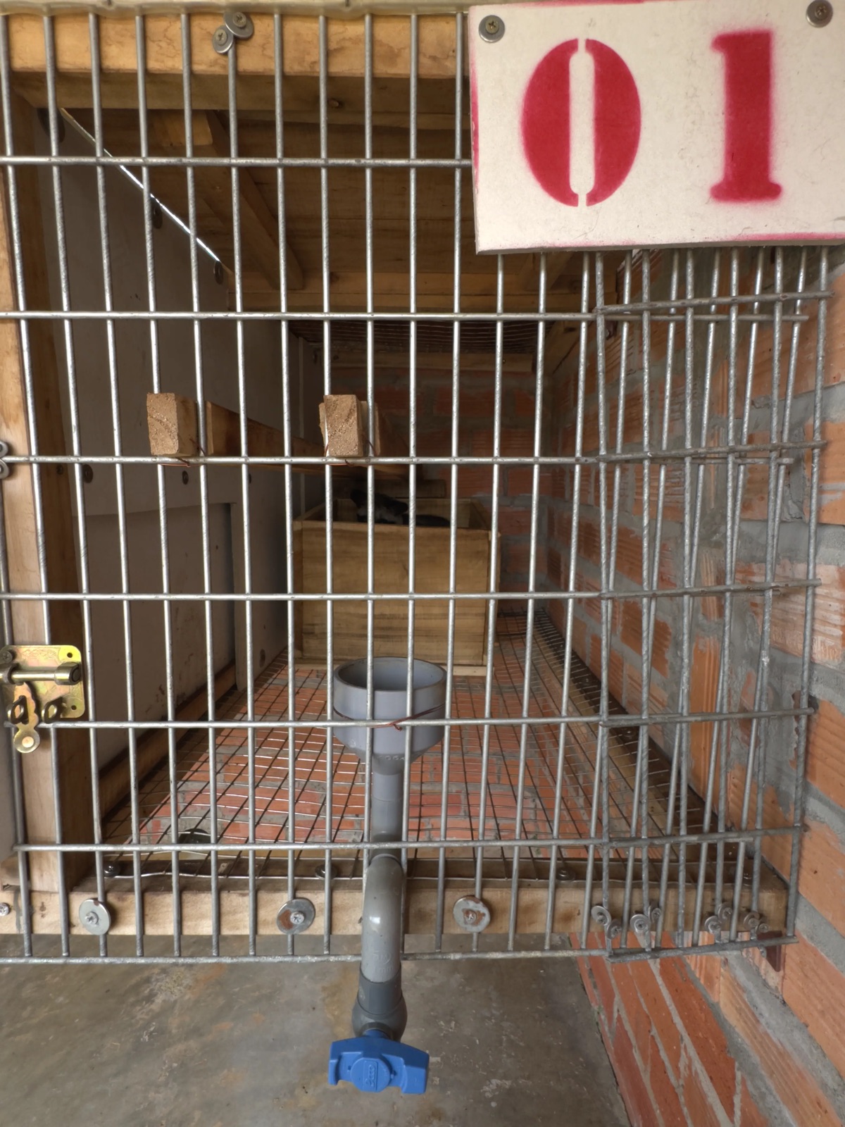 Trang trại chồn hương giống Thiên Thanh - khu vực chăn nuôi hiện đại