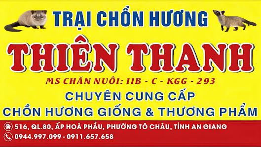 Trang trại chồn hương giống Thiên Thanh - cơ sở chăn nuôi hiện đại